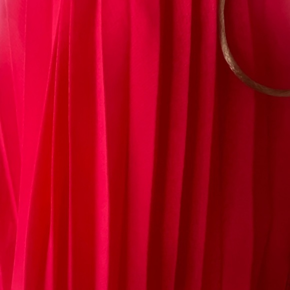 Coral Pleated Dress - Picture 5 of 12